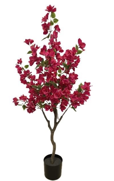 New Plan Bougainvillea Np_70_120 Ύψος 120cm Newplan