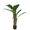 Banana Tree Np702_145  Ύψος 145cm Newplan