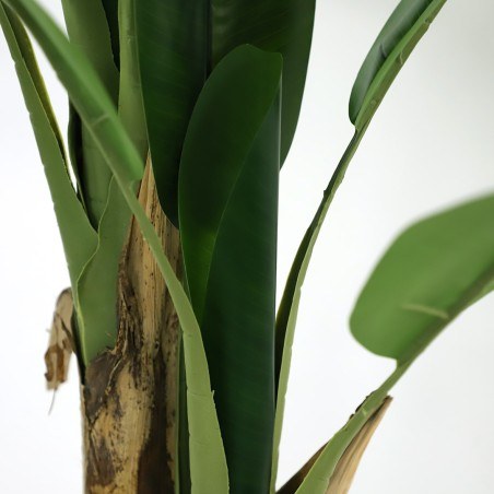 Banana Tree Np702_145  Ύψος 145cm Newplan