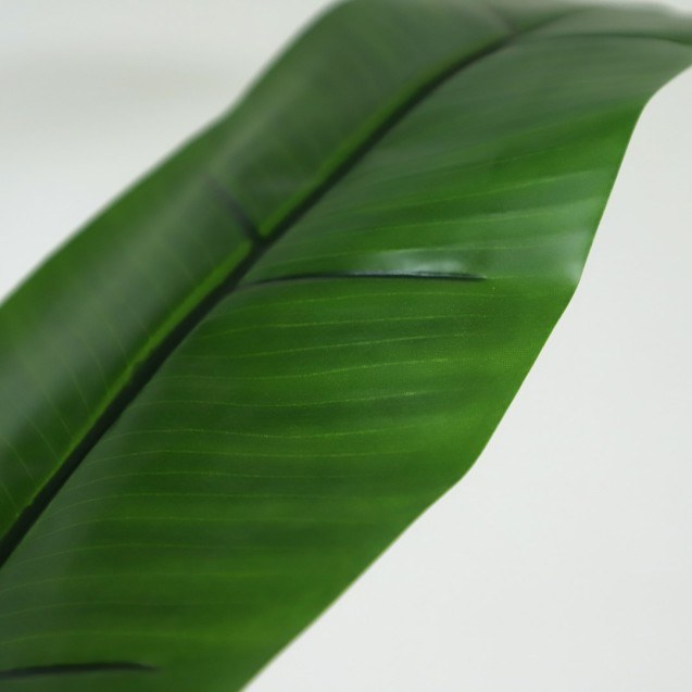 Banana Tree Np702_145  Ύψος 145cm Newplan