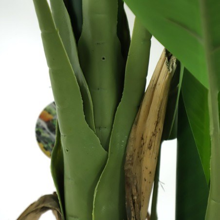 Banana Tree Np702_145  Ύψος 145cm Newplan