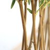 Bamboo In Pot (L90*W30)  Np827_180_Uv  Ύψος 180cm Newplan