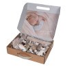 Σετ Δώρου 5τμχ Bebe Stars Teddy Bear Nature 60-102