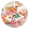 Περπατούρα Δραστηριοτήτων Bebe Stars Robbie 3in1 Pink 4243
