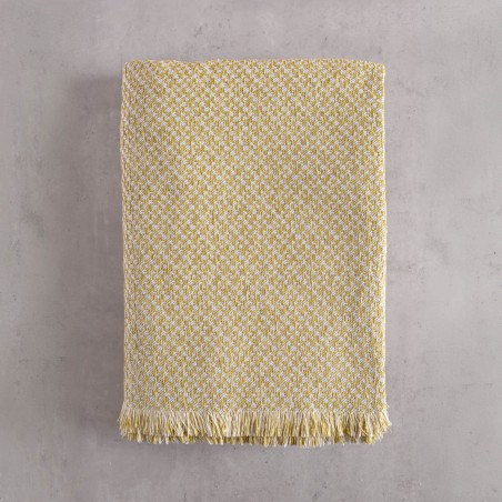 EDITOR ΧΡΥΣΟ - ΜΑΞΙΛΑΡΟΘΗΚΗ