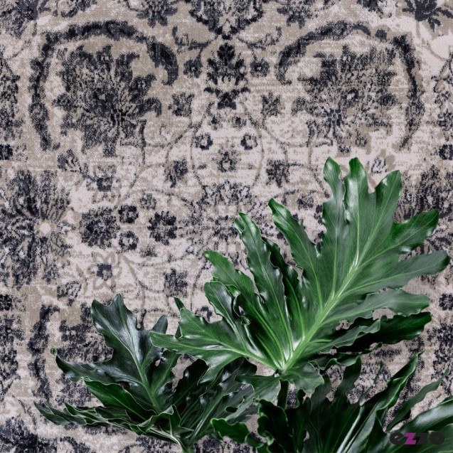 Χαλί Transitional Ezzo Antika 9628AHY Cream...