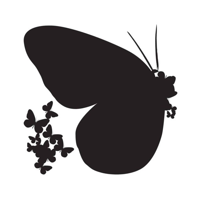 Αυτοκόλλητα Βινυλίου Για Τοίχο Medium Ango...