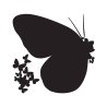 Αυτοκόλλητα Βινυλίου Για Τοίχο Medium Ango Butterflies Silhouettes 54110