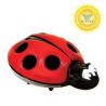 Παιδικό Φωτάκι Νυκτός DreamBaby Lady Bug BR74991