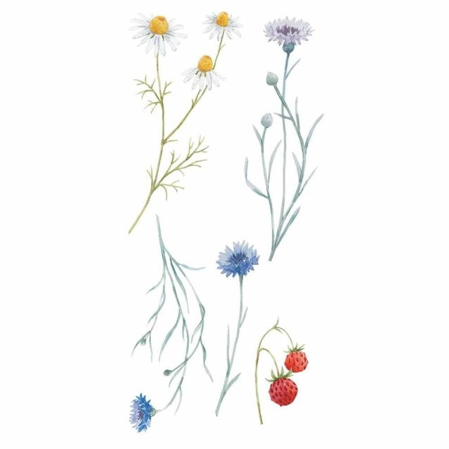 Αυτοκόλλητα Βινυλίου Για Τοίχο Ango Field...