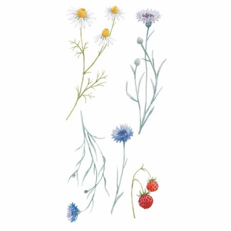 Αυτοκόλλητα Βινυλίου Για Τοίχο Ango Field Flowers 59178