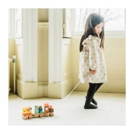 Ξύλινο Τρένο Woodland  (Fsc®) Orange Tree Toys