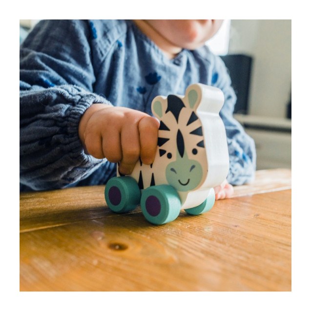 Ζέμπρα Push & Pull Orange Tree Toys