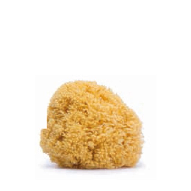 Σφουγγάρι Μπάνιου Βρεφικό Natural LRG +0μ Suavinex