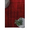 Κλασικό χαλί Afgan 7504H D.RED Royal Carpet - 240 x 300 cm