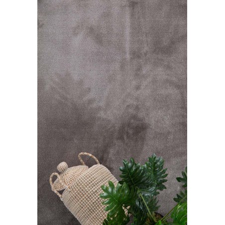 Χαλί Desire 71401 070 Royal Carpet - 140 x 200 cm