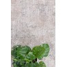 Χαλί Madisson 36A GREY Royal Carpet - 240 x 350 cm