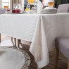 Σετ Τραπεζομάντηλο και 12 Πετσέτες Φαγητού Teoran Abelie 160x250