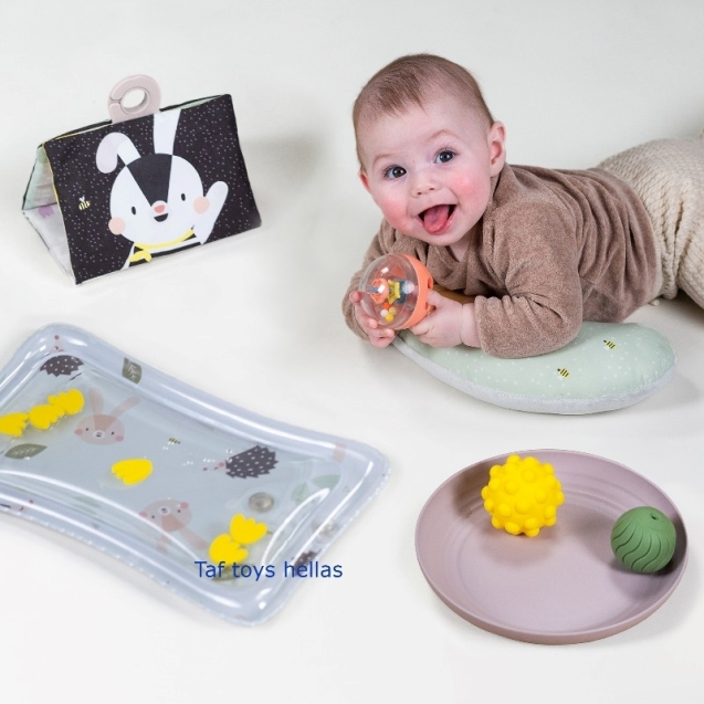 Βρεφικό Παιχνίδι Taf Toys Tummy Essentials Kit...