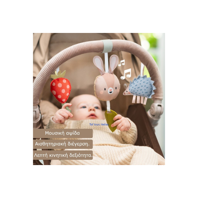 Μπάρα δραστηριοτήτων Taf Toys Musical Bunny...