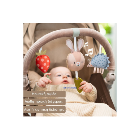 Μπάρα δραστηριοτήτων Taf Toys Musical Bunny Arch T-13415