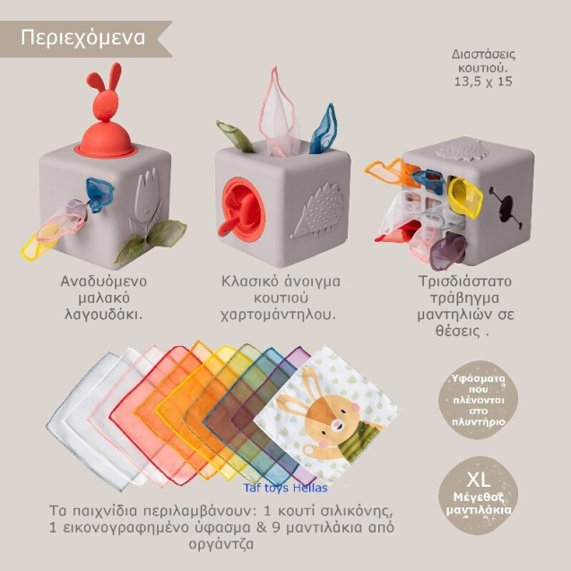 Εκπαιδευτικό Παιχνίδι Δραστηριοτήτων Taf Toys...