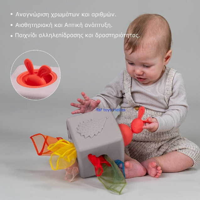 Εκπαιδευτικό Παιχνίδι Δραστηριοτήτων Taf Toys...