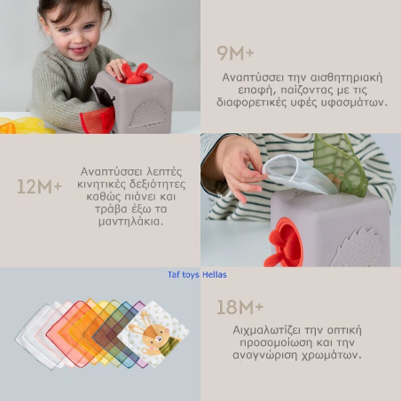 Εκπαιδευτικό Παιχνίδι Δραστηριοτήτων Taf Toys Pop Up Tissue Box T-13405