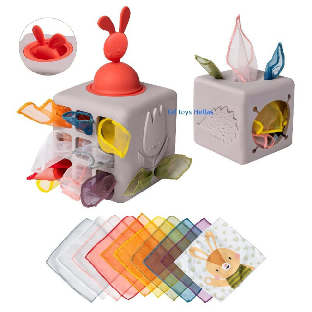 Εκπαιδευτικό Παιχνίδι Δραστηριοτήτων Taf Toys...