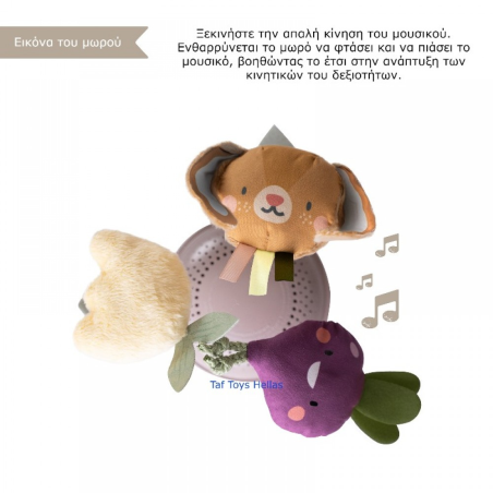 Μουσικό Περιστρεφόμενο Κρεμαστό Taf Toys Καροτσιού Garden T-13275