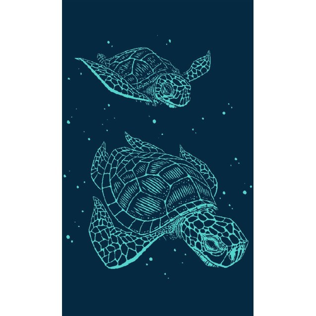 Πετσέτα Θαλάσσης Βελουτέ Dimcol Ζακάρ...