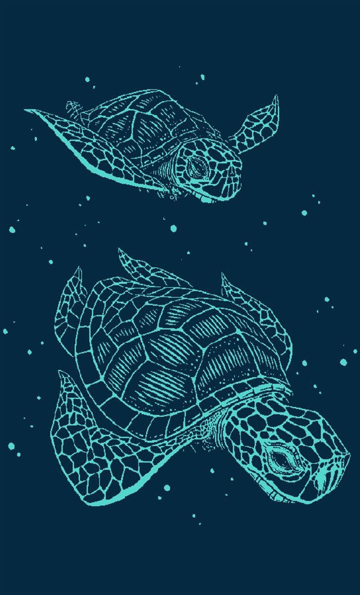 Πετσέτα Θαλάσσης Βελουτέ Dimcol Ζακάρ Αιγυπτιακή 420 gsm 234 87x165