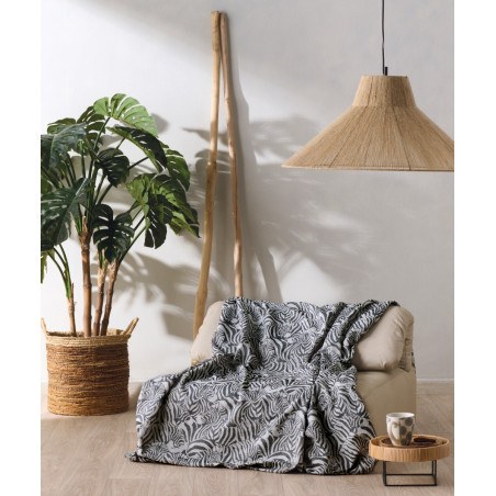 Ριχτάρι Τετραθέσιου Kentia Zecora 22 180x320