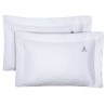 Σετ Μαξιλαροθήκες 2 Τεμαχίων Greenwich Polo 2351 White 50x70