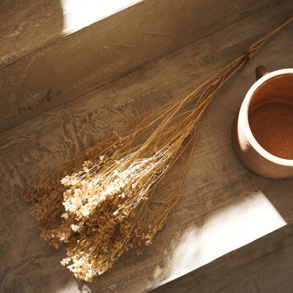 Αποξηραμένα Άνθη Gofis Home Broom 118 Ύψος : 40, 20γρ.