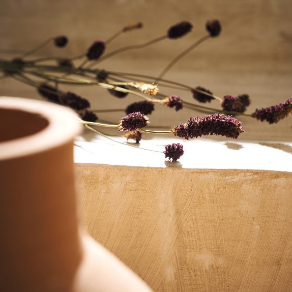 Αποξηραμένα Άνθη Gofis Home Lilac 122 Ύψος : 50, 5γρ.