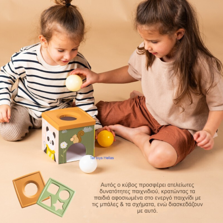 Εκπαιδευτικό Παιχνίδι  Taf Toys Play & discover cube T-13645