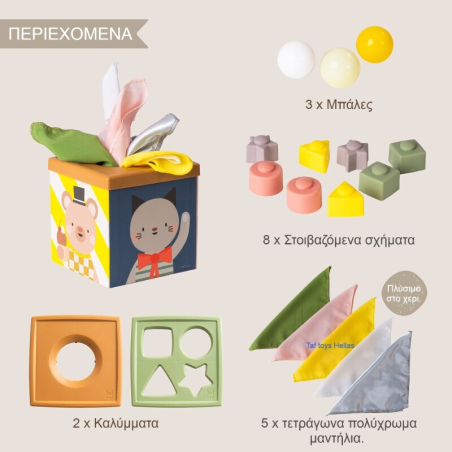 Εκπαιδευτικό Παιχνίδι  Taf Toys Play & discover cube T-13645