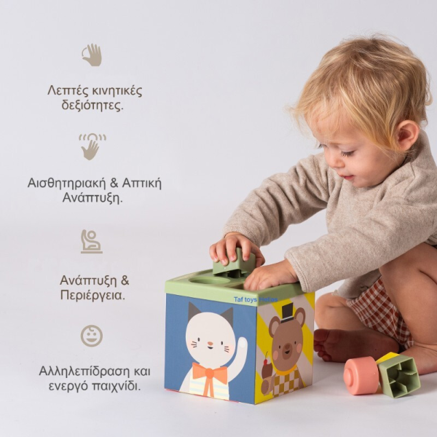 Εκπαιδευτικό Παιχνίδι  Taf Toys Play & discover...