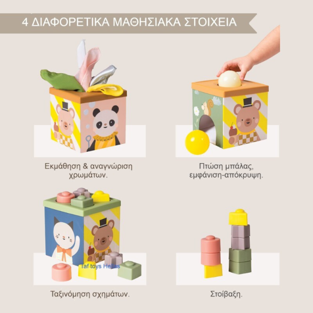 Εκπαιδευτικό Παιχνίδι  Taf Toys Play & discover...