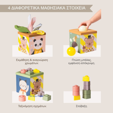 Εκπαιδευτικό Παιχνίδι  Taf Toys Play & discover cube T-13645