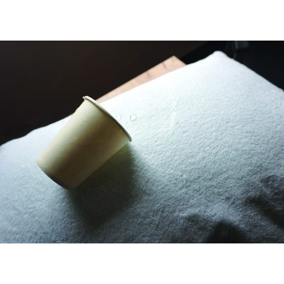 Ζεύγος Μαξιλαροθήκες Anesis Πετσετέ Αδιάβροχες TERRY/PU...