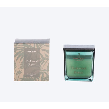 Αρωματικό Κερί Nef-Nef Teakwood Forest 25 Green 200gr