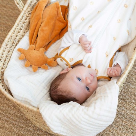 Πανάκι Παρηγορίας Diplododo Trois Kilos Sept