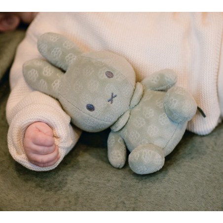 Λούτρινο Aπό Bελουτέ Ύφασμα 20cm Πράσινο Miffy Flowers