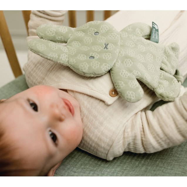 Πανάκι Παρηγοριάς Πράσινο Miffy Flowers