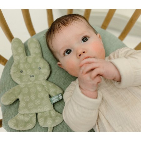 Πανάκι Παρηγοριάς Πράσινο Miffy Flowers