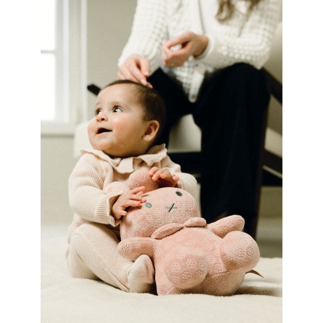 Λούτρινο Από Βελουτέ Ύφασμα 30cm Ροζ Miffy Flowers