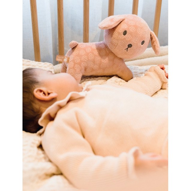 Λούτρινο Σκυλάκι Από Βελουτέ Ύφασμα 25cm Ροζ...