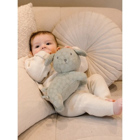 Λούτρινο Σκυλάκι Από Βελουτέ Ύφασμα 25cm Πράσινο Miffy Flowers